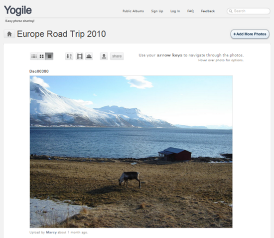 Yogile Easy Photo Sharing for Groups | 40Tech 