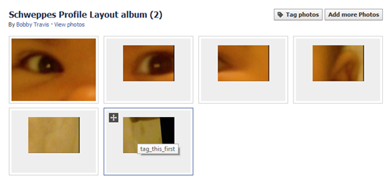 Schweppes Facebook Cutsom Profile App Album