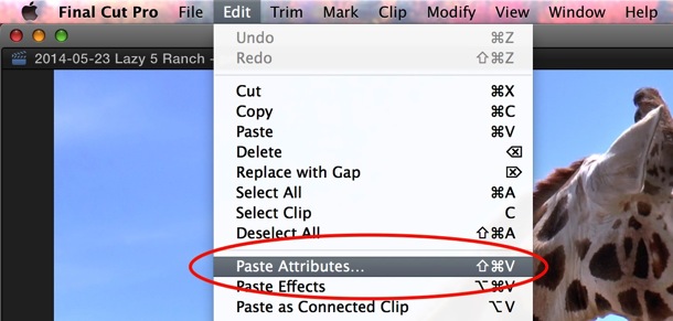 FCPX Paste Attributes