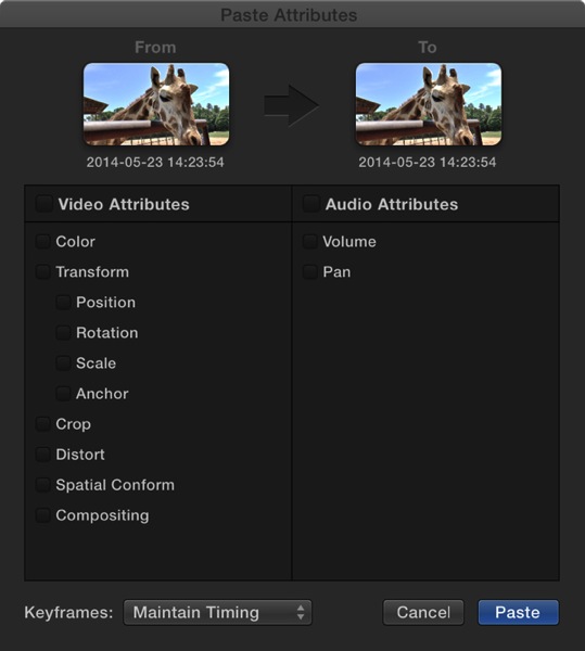 Paste Attributes selector